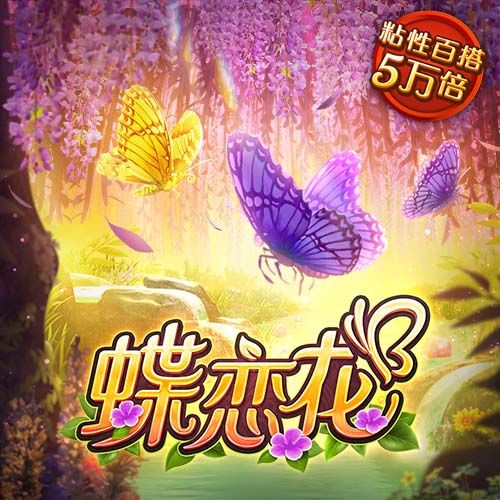 kb体育平台官网入口